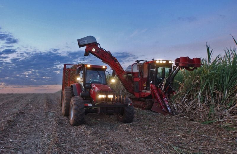 World food commodity prices rose in March for the second month in a row - FAO